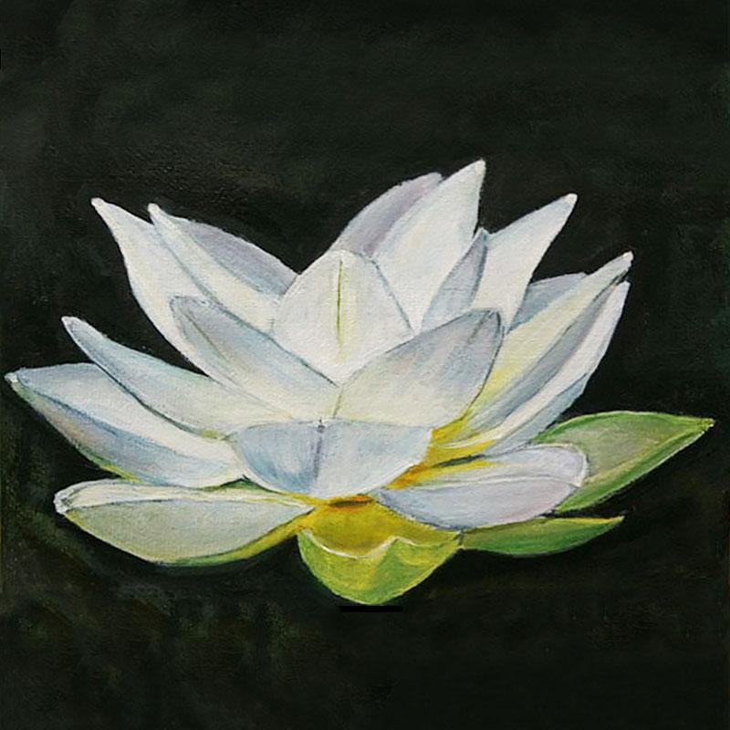 Lotus flower / black and white oil with color acrylic