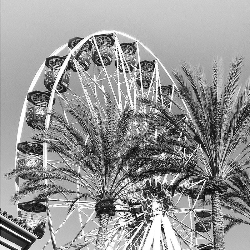 Ferris wheel print